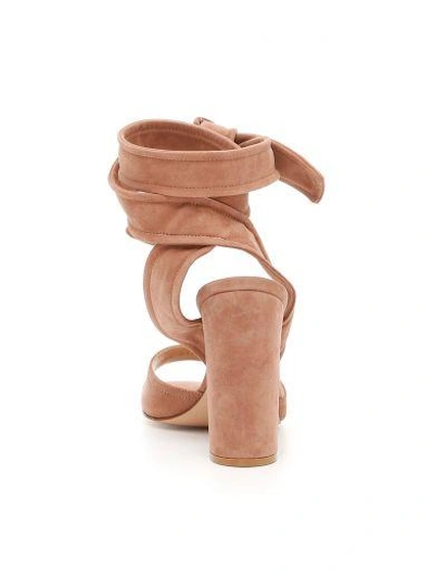 Shop Gianvito Rossi Nika Suede Sandals In Praline|beige