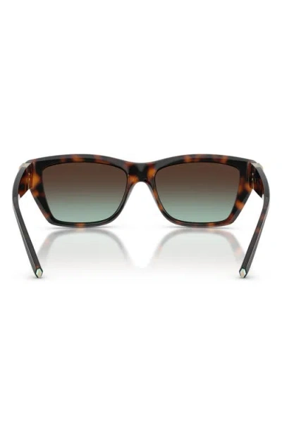 Tiffany & Co . 56mm Rectangular Sunglasses In Brown