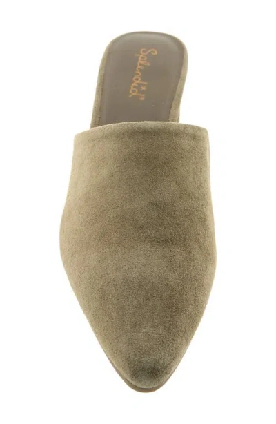 Splendid Lorelei Mule In Green