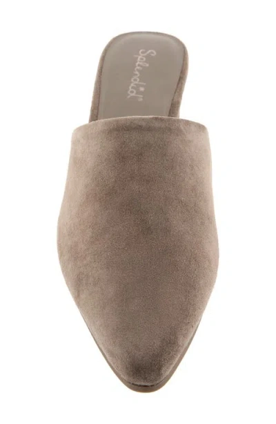 Splendid Lorelei Mule In Gray