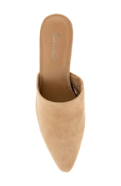 Splendid Lorelei Mule In Neutral
