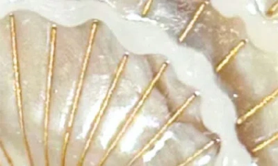 Solar Eclipse Seashell Hair Claw Clip In Neutral