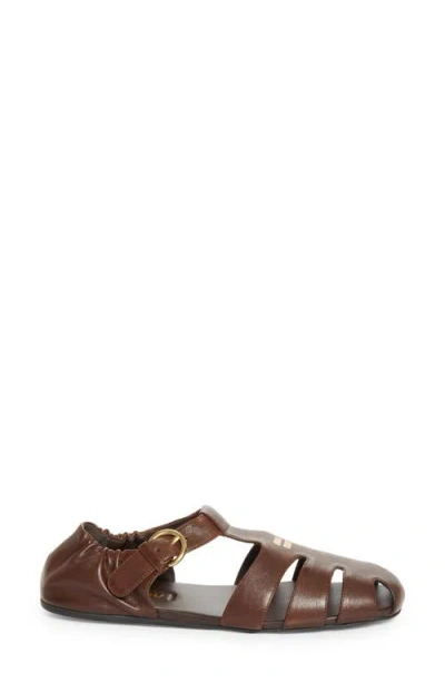 Miu Miu Refined Fisherman Sandals With Ruching And Adjustable Strap In Brown