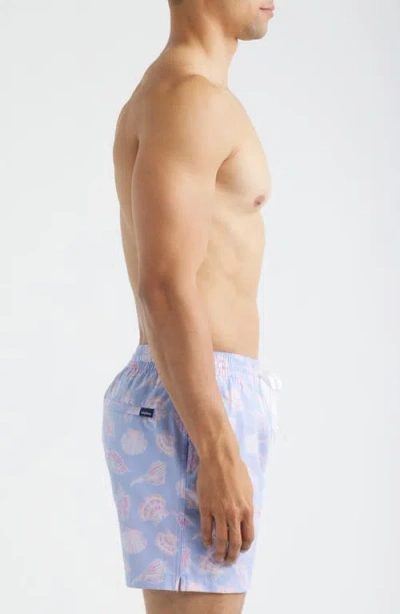 Chubbies Shell Yeahs 5.5-inch Swim Trunks In Blue