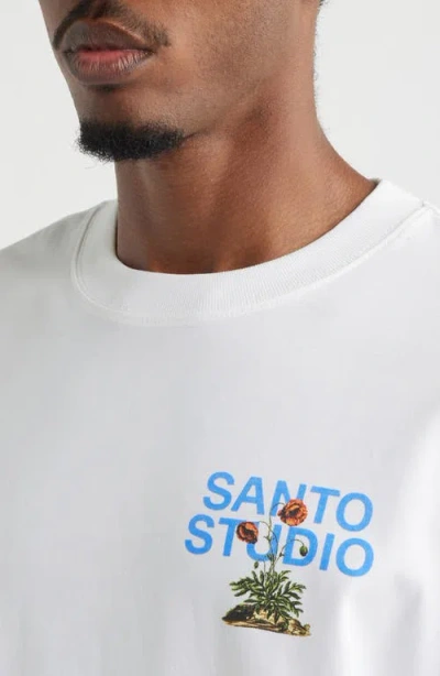Santo Studio Rooted In White