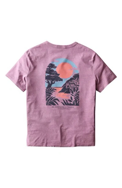 Marine Layer Relaxed Hemp Graphic Tee In Purple