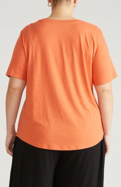 Universal Standard Light As Air Tee Rex T-shirt In Orange