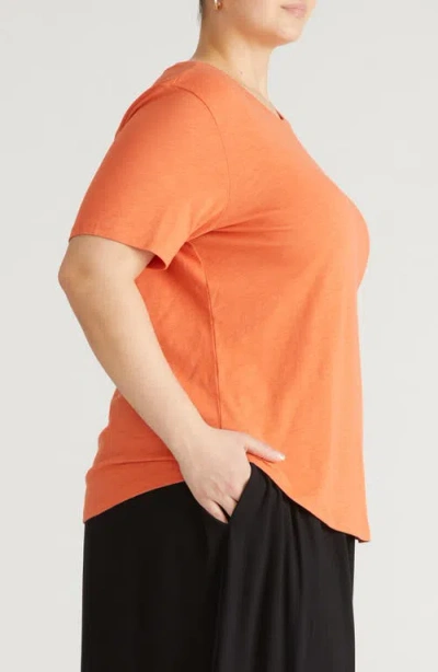 Universal Standard Light As Air Tee Rex T-shirt In Orange