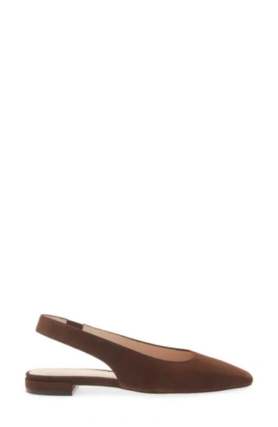 Stuart Weitzman Stassi Slingback Flat In Brown