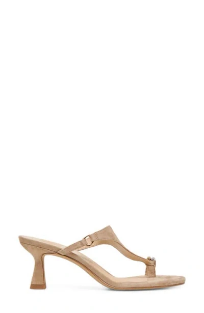 Dolce Vita Derrel Toe Loop Sandal In Brown