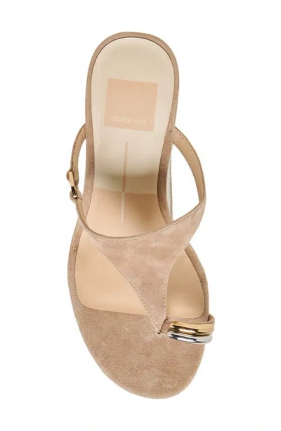 Dolce Vita Derrel Toe Loop Sandal In Brown