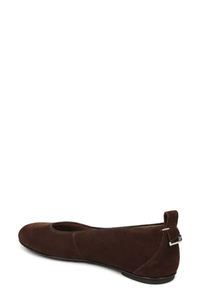 Naturalizer Ava Ballet Flat In Brown
