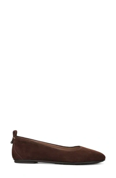 Naturalizer Ava Ballet Flat In Brown
