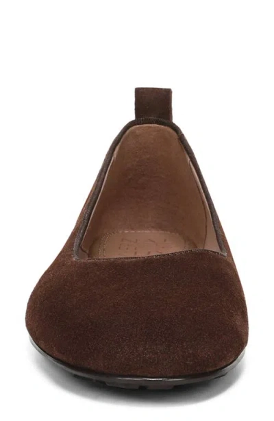 Naturalizer Ava Ballet Flat In Brown
