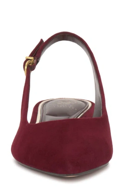 Vince Camuto Valiey Slingback Flat In Brown