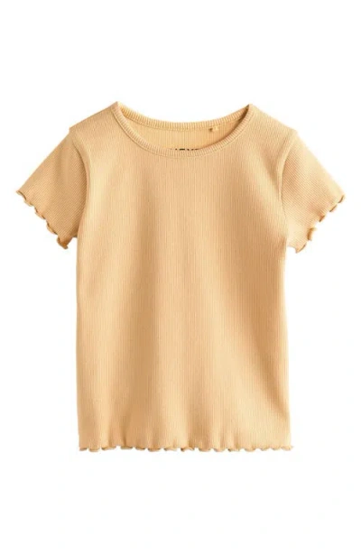 Next Assorted 5-pack Rib Stretch Cotton T-shirts In Multi