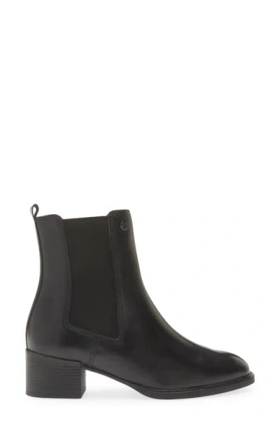 Bottero Block Heel Bootie In Black