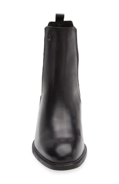 Bottero Block Heel Bootie In Black