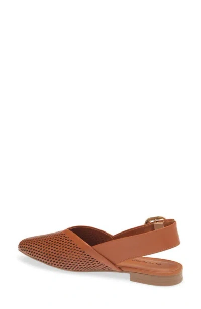 Bottero Belted Slingback Flat In Brown