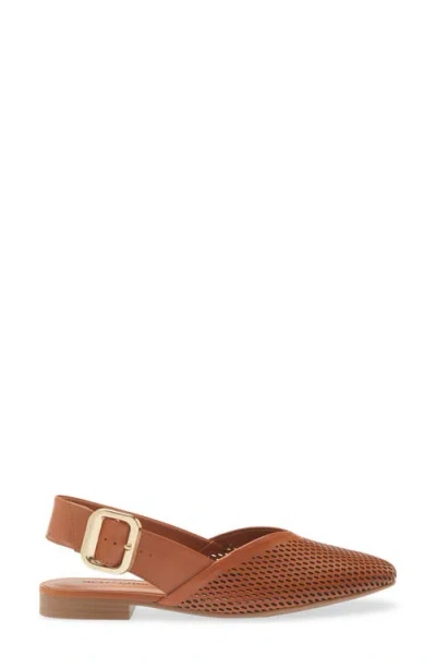 Bottero Belted Slingback Flat In Brown