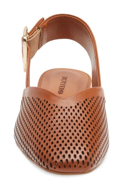 Bottero Belted Slingback Flat In Brown