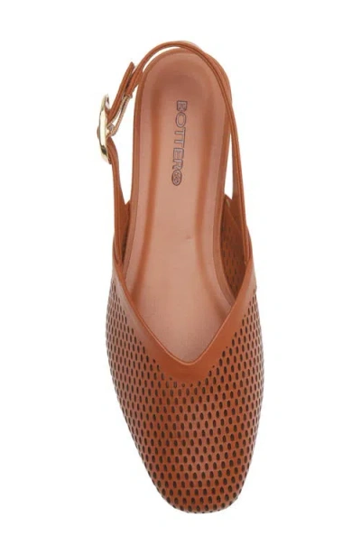 Bottero Belted Slingback Flat In Brown