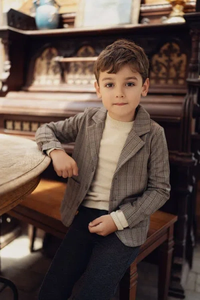 Space Grey Front Button Woven Plaid Blazer In Brown