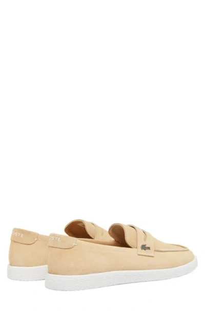 Lacoste Cochet Sneaker In Neutral