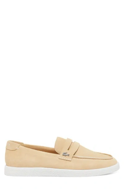 Lacoste Cochet Sneaker In Neutral