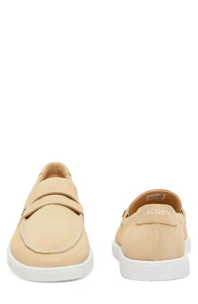 Lacoste Cochet Sneaker In Neutral