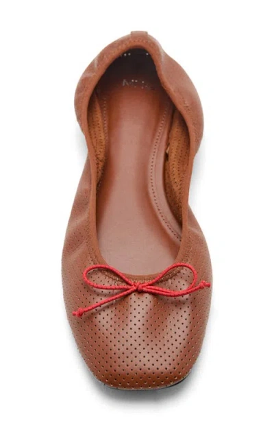 Mango Perforated Ballet Flat In Brown