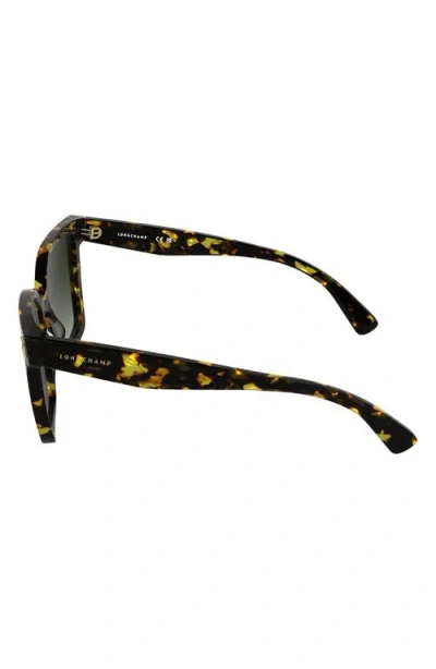 Longchamp Roseau 55mm Modified Rectangular Sunglasses In Green