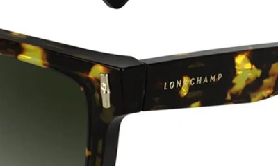 Longchamp Roseau 55mm Modified Rectangular Sunglasses In Green
