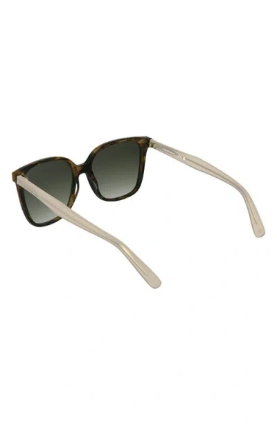 Longchamp Le Pliage 55mm Gradient Modified Rectangular Sunglasses In Green
