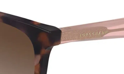 Longchamp Le Pliage 55mm Gradient Modified Rectangular Sunglasses In Brown