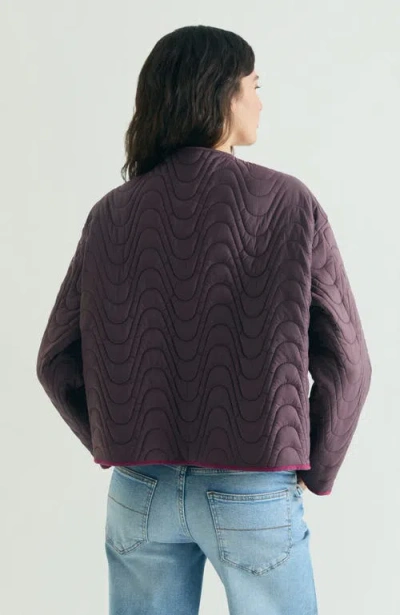 Scalpers Reversible Padded Jacket In Multi