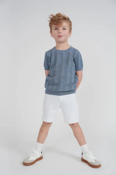 Mr. Mr. Textured Column Knit Pullover Sweater In Blue