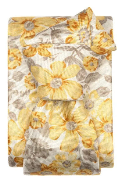 Elizabetta Altamura In Multi