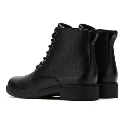 Abeo Compass Lace Boots In Black
