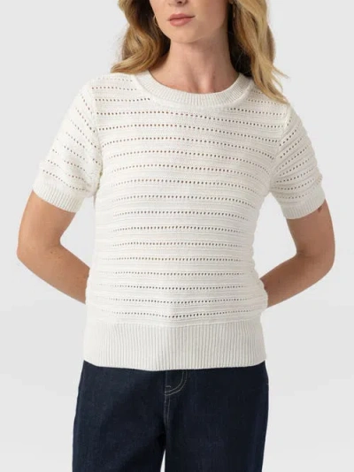 Saint + Sofia Ester Short Sleeve Knit In Multi
