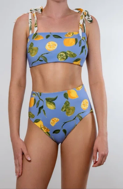 Hermoza Becca Reversible Top In Blue