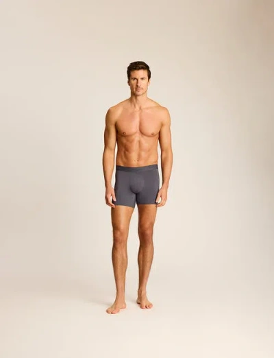 Commando Essential Modal Modern Fit Boxer Brief In Silver