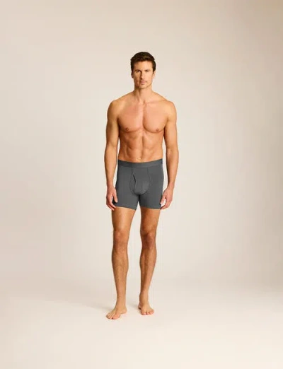 Commando Essential Modal Relaxed Boxer Brief With Fly In Gray