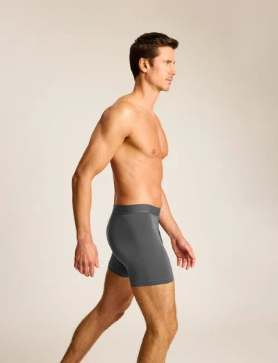 Commando Essential Modal Relaxed Boxer Brief With Fly In Gray