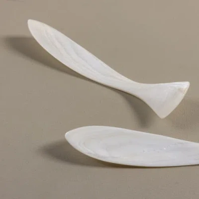 Be Home Minnow Shell Spreaders In White