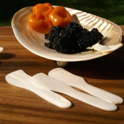 Be Home Shell Spreaders In White