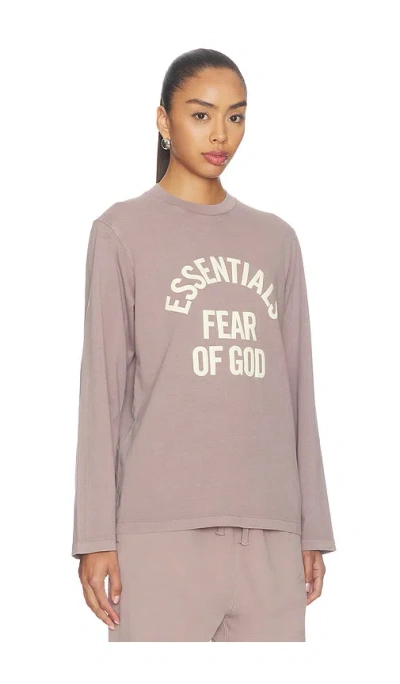 Essentials Campus Classic Long Sleeve Tee In Brown
