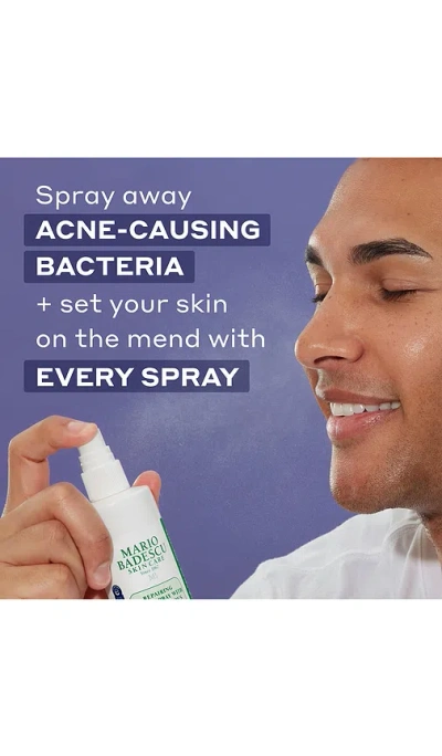 Mario Badescu Repairing Facial Spray With Hypochlorous Acid In Transparent