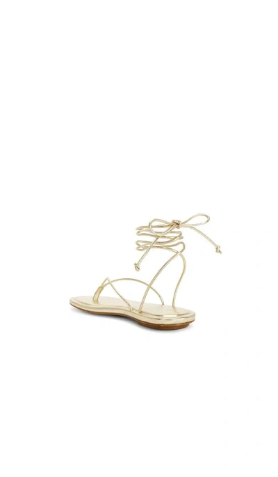 Raye Zabel Sandal In Multi