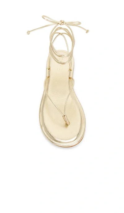 Raye Zabel Sandal In Multi